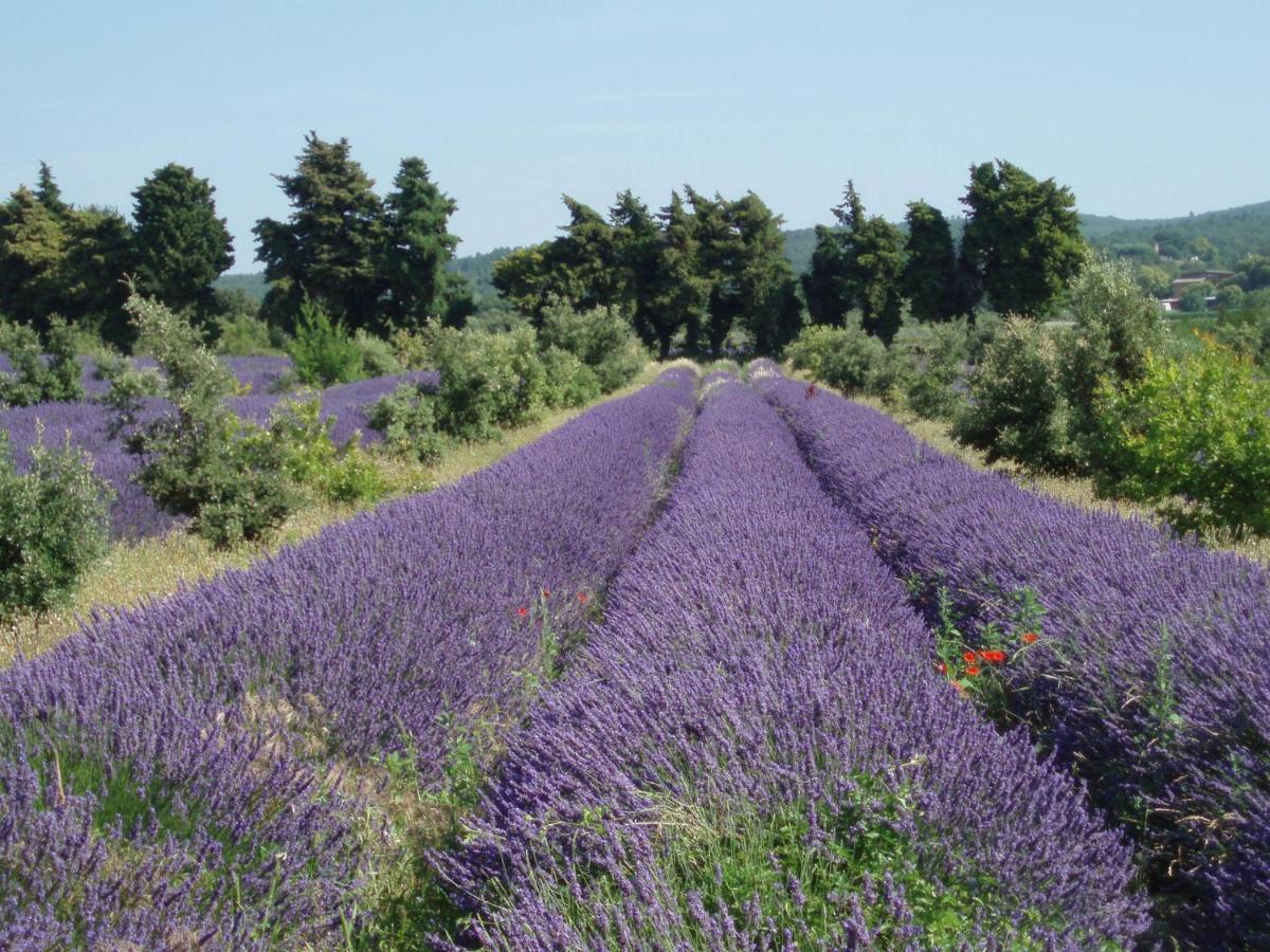 Clos Des 3 Ruisseaux Taulignan Luaran gambar